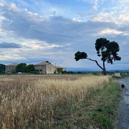Charming Village House With Roof Top Terrace! Thezan-les-Beziers Buitenkant foto